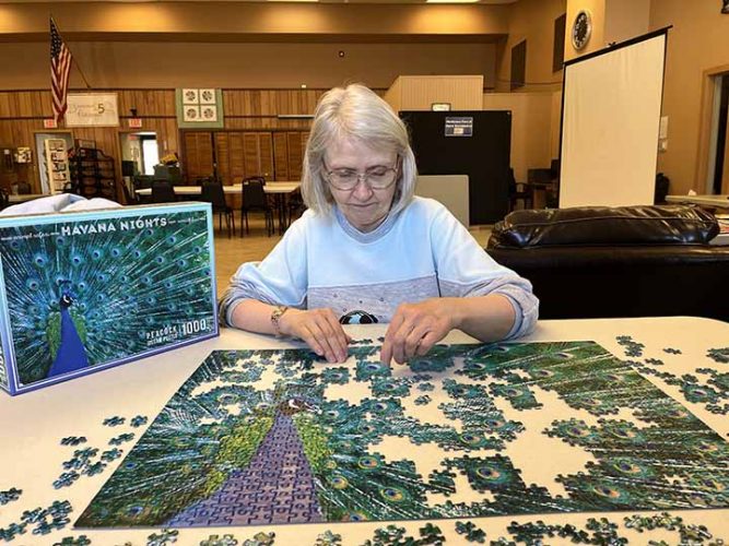 Three Alpena County tax renewals on August ballot News, Sports, Jobs